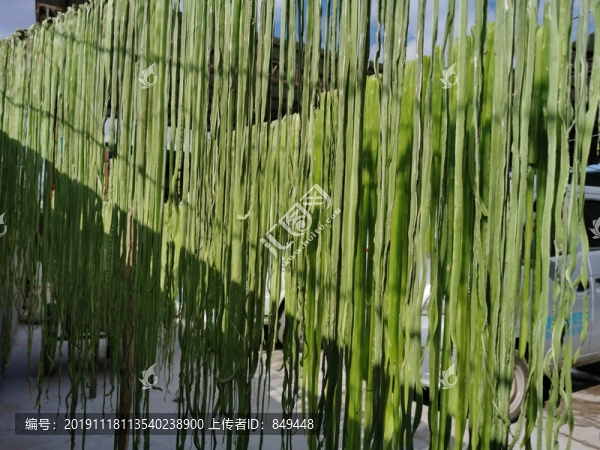 青筍絲