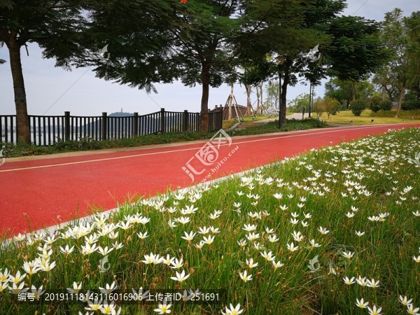 玉蓮與游步道