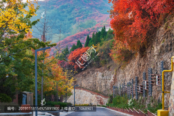 桃源小鎮(zhèn)秋色