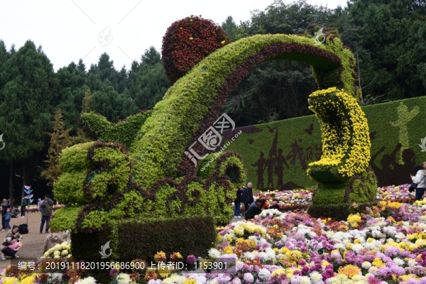 菊花展