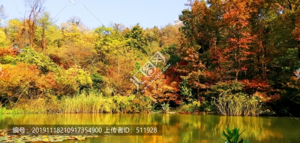 南京棲霞山