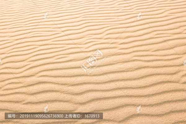 沙漠
