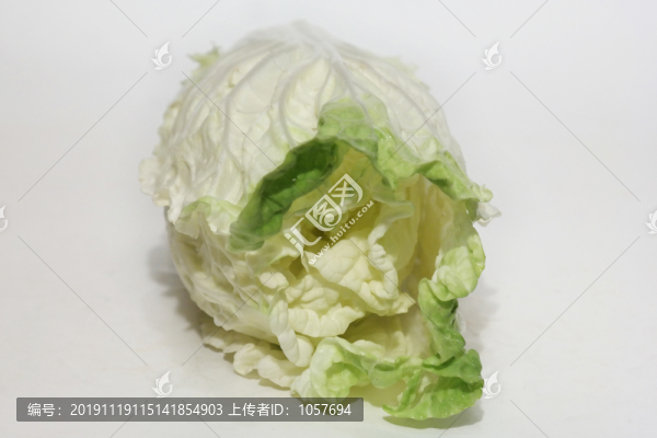 大白菜