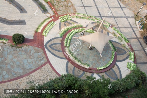 冬儲菜