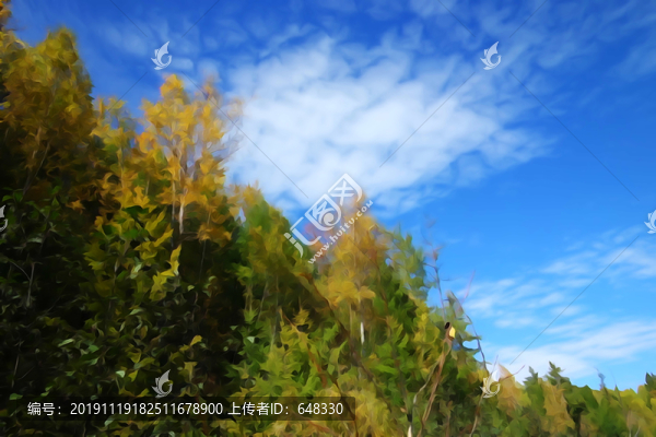 樹林風光