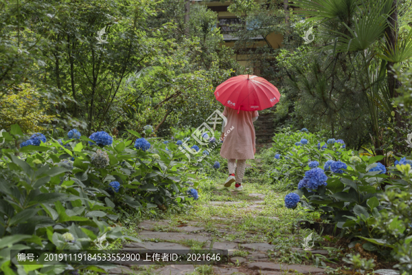 美女背影