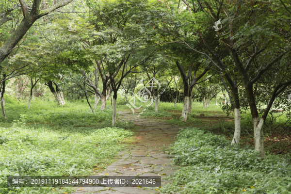 石板路