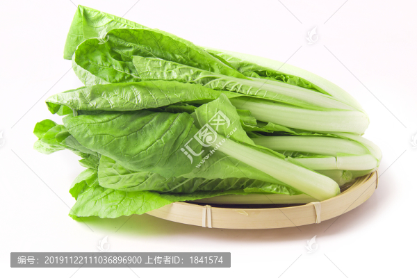 白菜