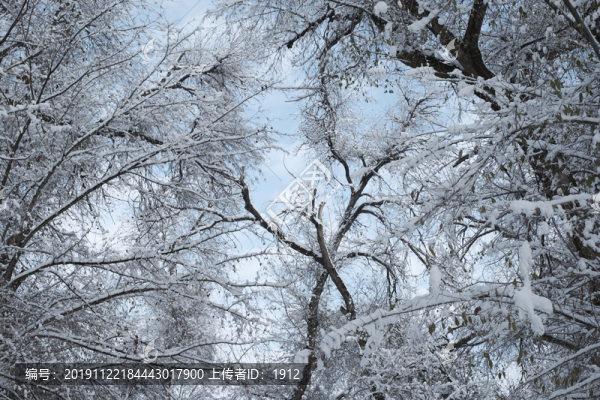 雪景