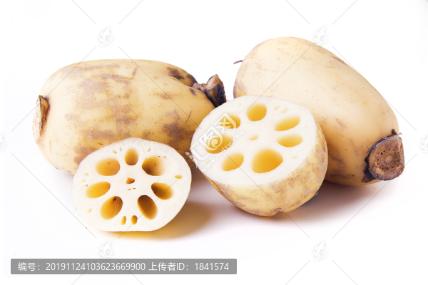 新鮮蓮藕