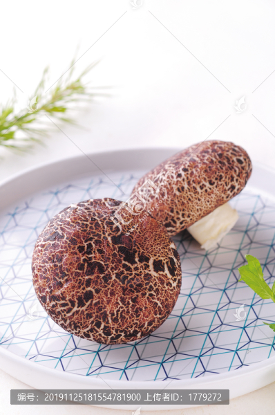 香菇包