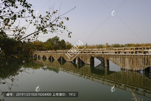 公園里的橋