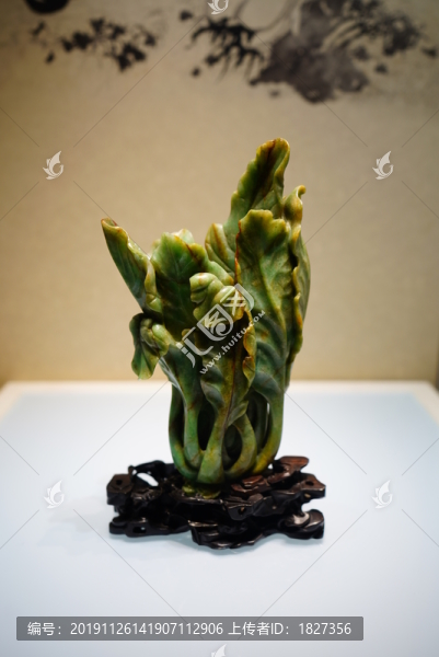 玉白菜