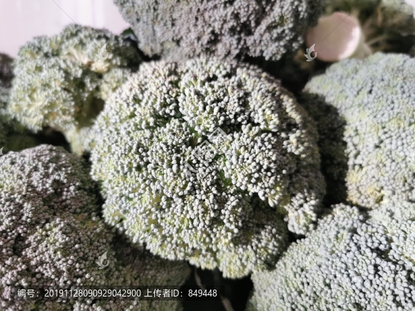 青花西藍(lán)花