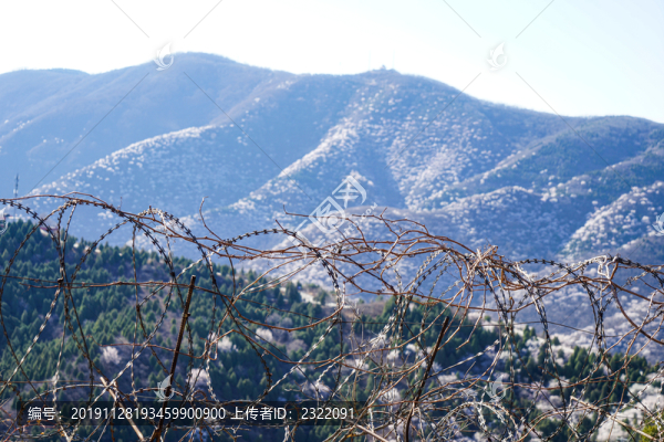 香山鐵絲網(wǎng)特寫