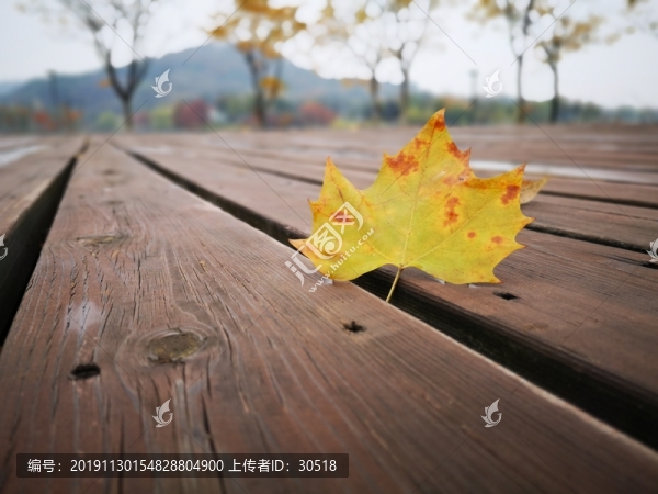 秋天的顏色