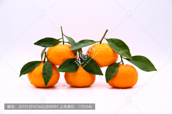 砂糖桔