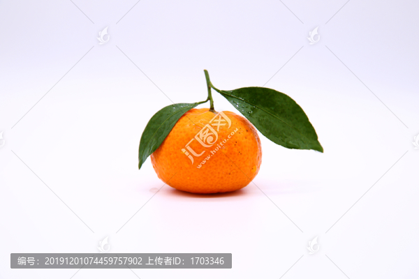 砂糖桔