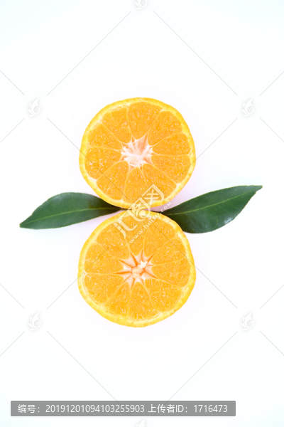 砂糖桔