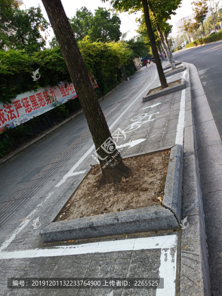 樹(shù)池