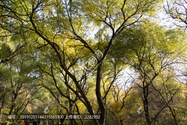 公園秋景