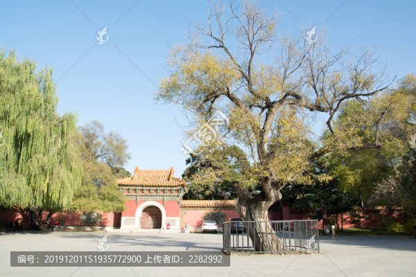 北陵公園古樹