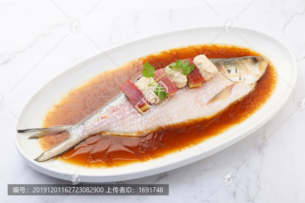 長江鰣魚