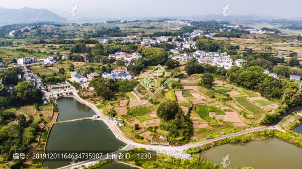 新農村