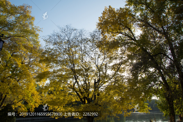 公園秋景