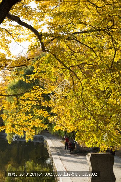 公園秋景