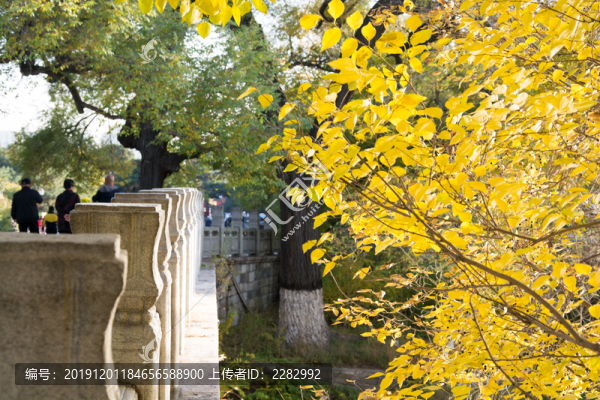 公園秋景