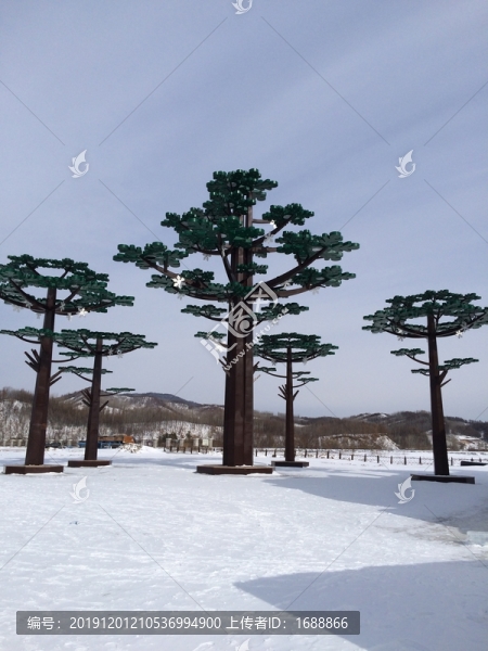 雪地