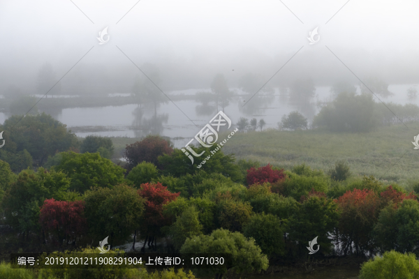 濕地初秋