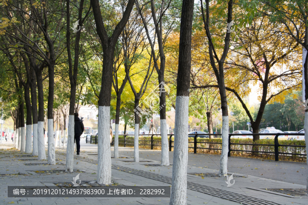 街景