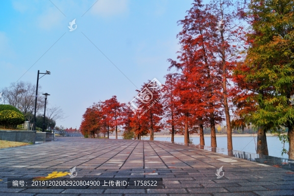 公園彬樹林