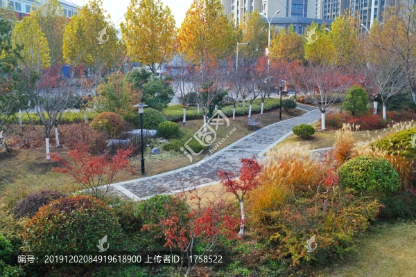 冬天公園綠化