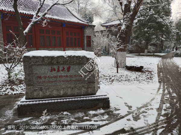 北京大學(xué)陳守仁國際研究中心