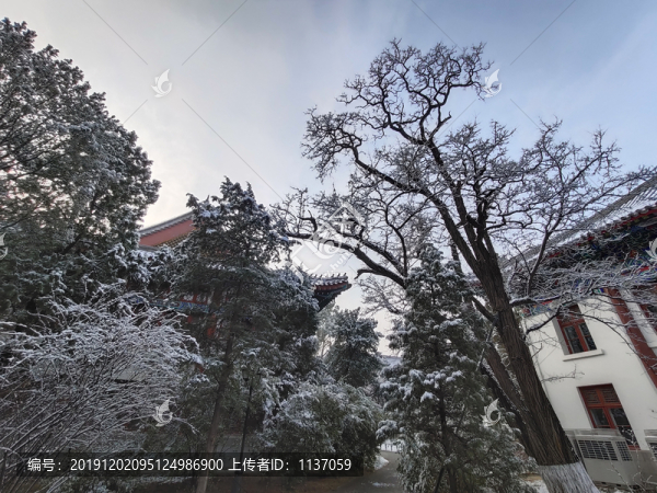 北京大學(xué)風(fēng)光