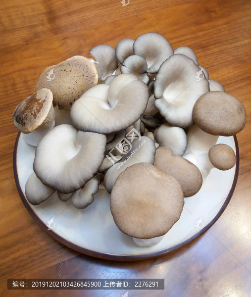 蘑菇特寫