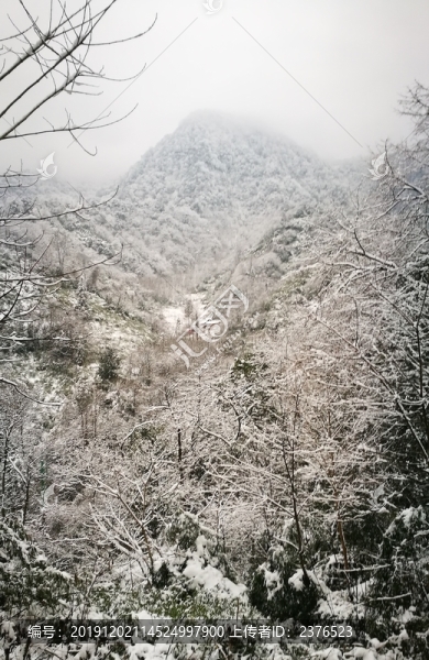 雪景