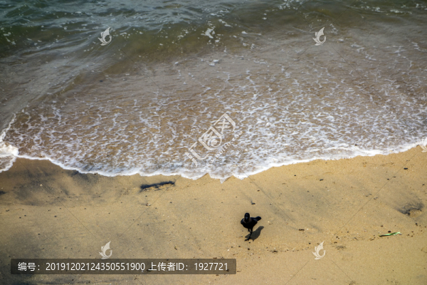 斯里蘭卡海灘