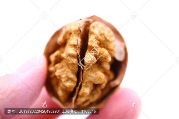 新疆核桃