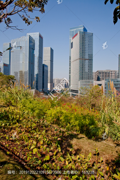 城市公園