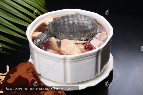 鮮靈芝補血甲魚湯