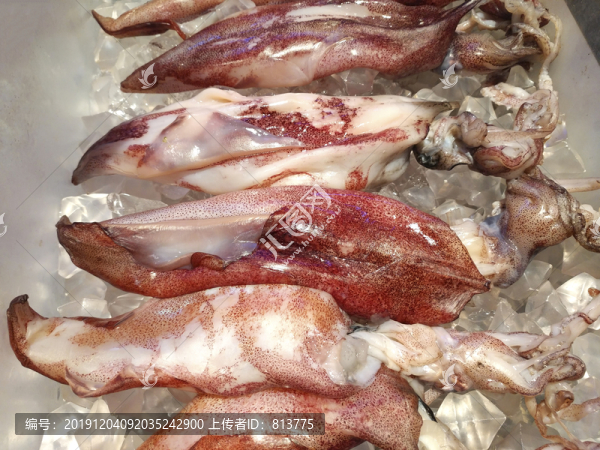 魷魚(yú)肉