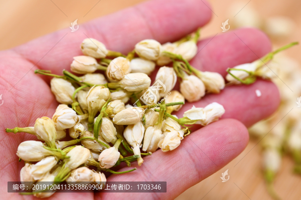 茉莉花茶