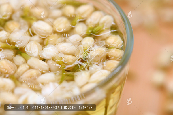 茉莉花茶