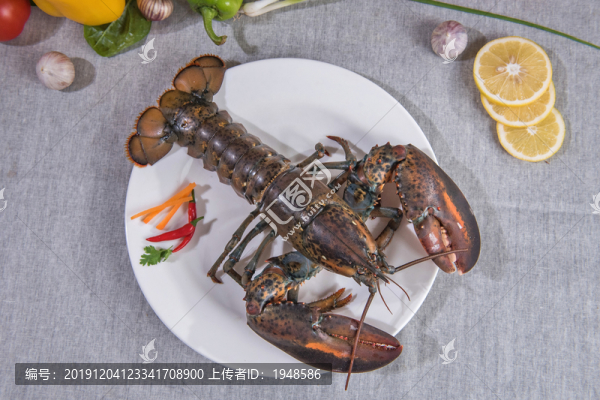 大龍蝦