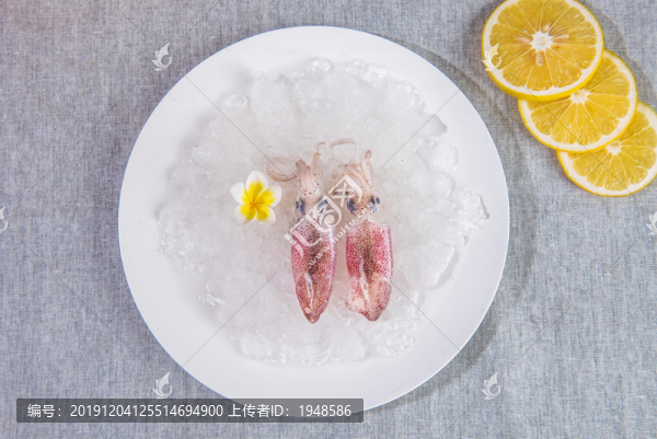 新鮮魷魚