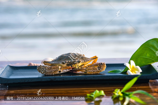 新鮮海蟹